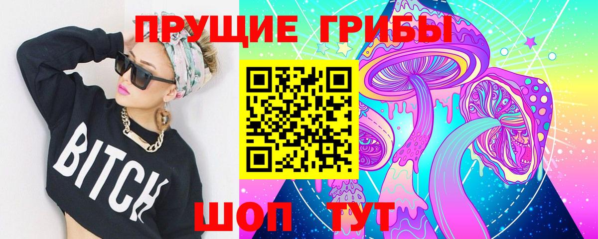 купить   Псилоцибиновые грибы Psilocybine cubensis  Вход с VPN  Заречный 
